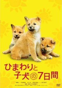 [DVD] ひまわりと子犬の7日間