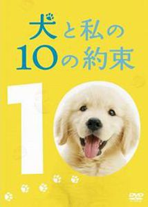 犬と私の10の約束