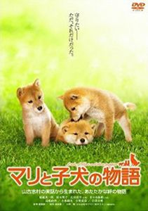 マリと子犬の物語