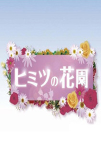 ヒミツの花園　DVD-BOX