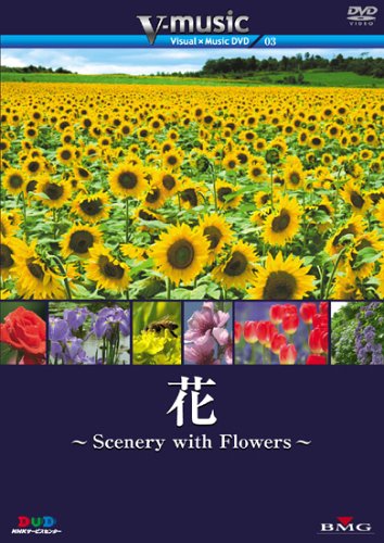 花~Scenery with Floews~ V-music