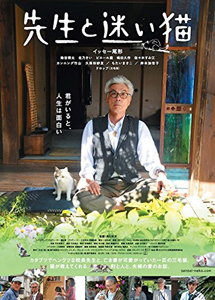 [DVD] 先生と迷い猫 
