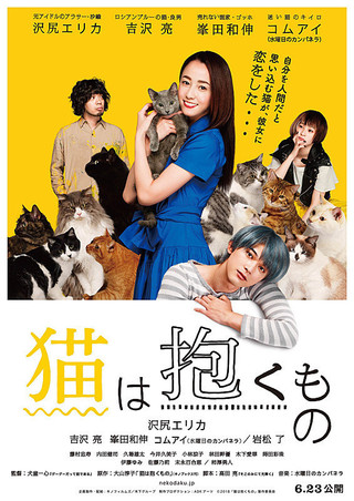 [DVD] 猫は抱くもの