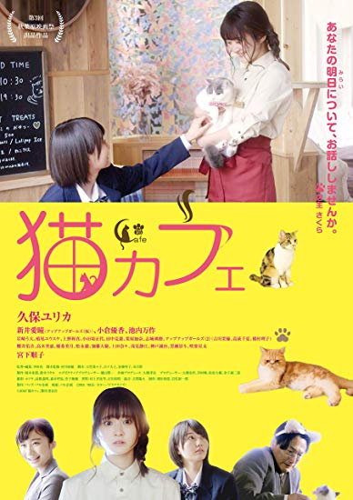 [DVD] 猫カフェ