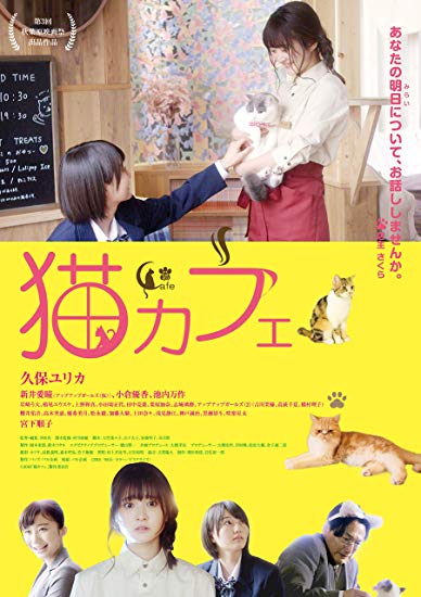 [DVD] 猫カフェ