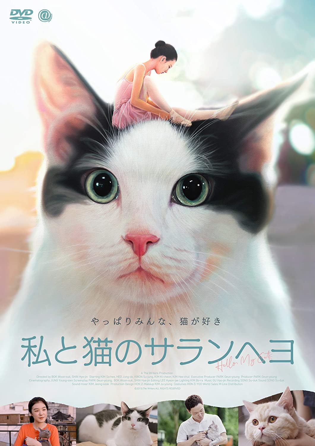 [DVD] 私と猫のサランヘヨ