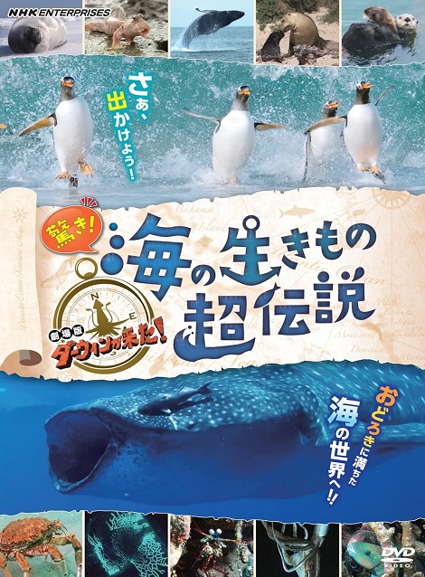 [DVD] 驚き! 海の生きもの超伝説 劇場版ダーウィンが来た! 