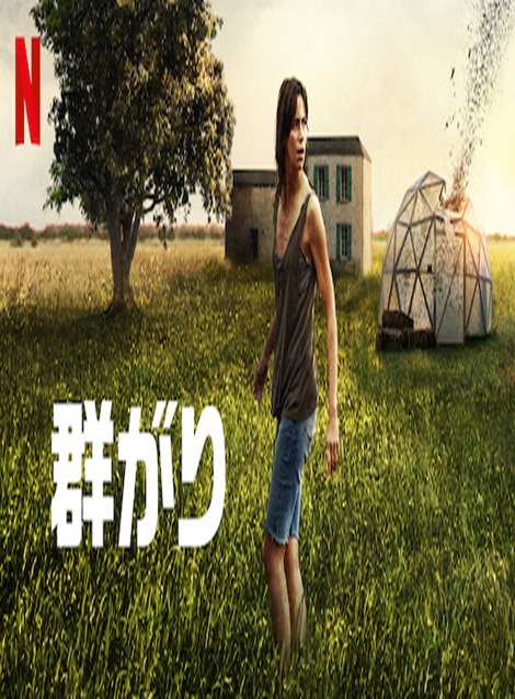 [DVD] 群がり