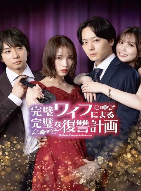 [DVD] 完璧ワイフによる完璧な復讐計画