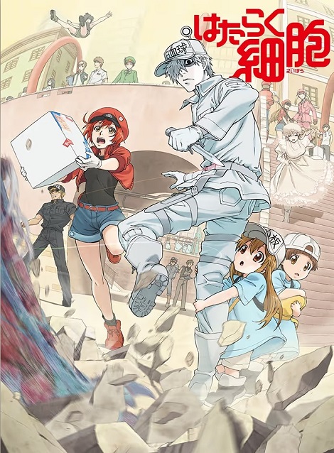 [DVD]  はたらく細胞