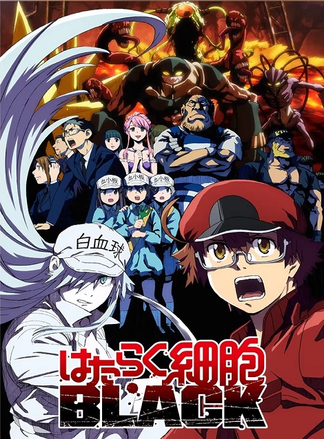 [DVD]  はたらく細胞BLACK