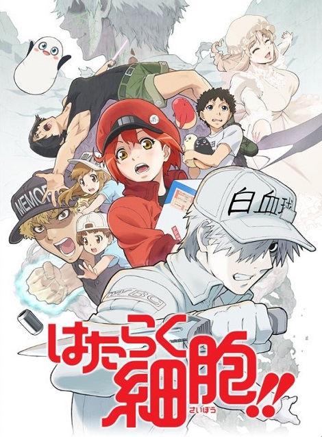 [DVD]  はたらく細胞!!
