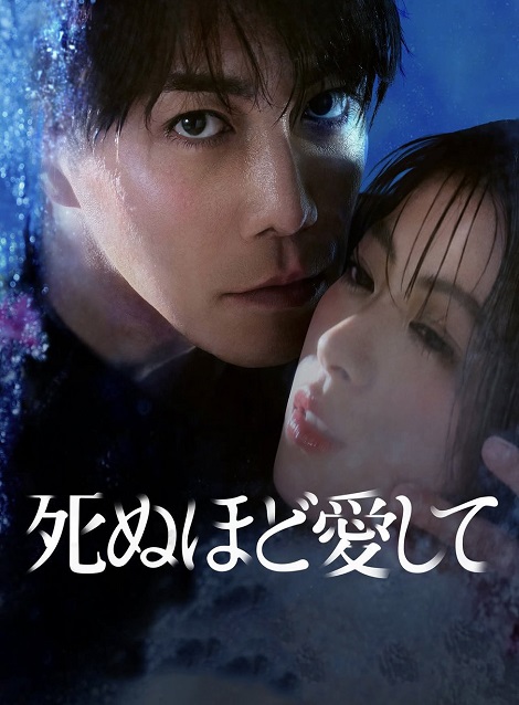 [DVD]  死ぬほど愛して