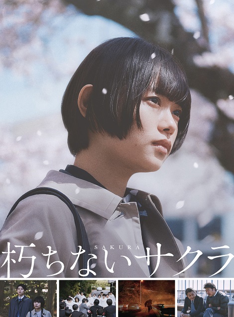 [DVD] 朽ちないサクラ