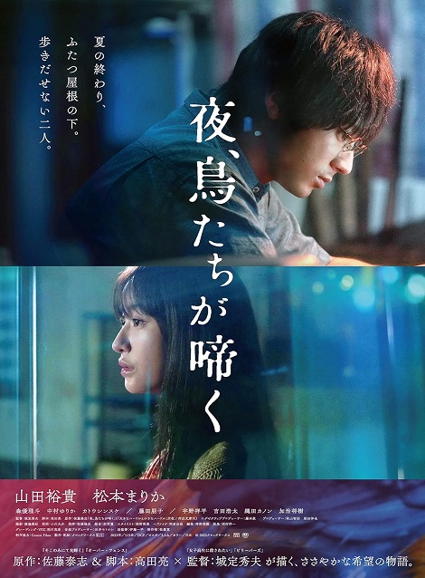 [DVD]  夜、鳥たちが啼く