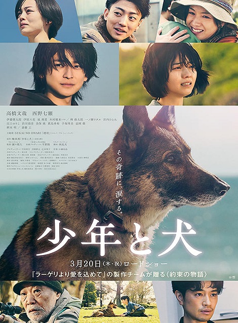 [DVD]  少年と犬
