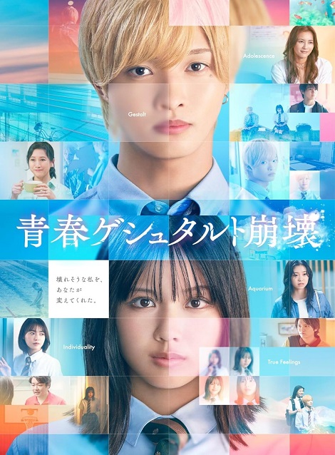 [DVD]  青春ゲシュタルト崩壊