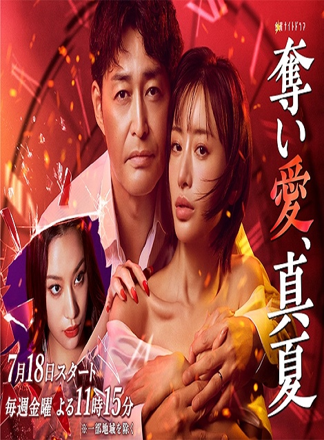[DVD]  奪い愛、真夏