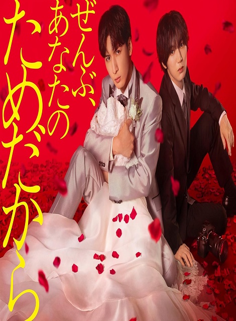 [DVD]  ぜんぶ、あなたのためだから