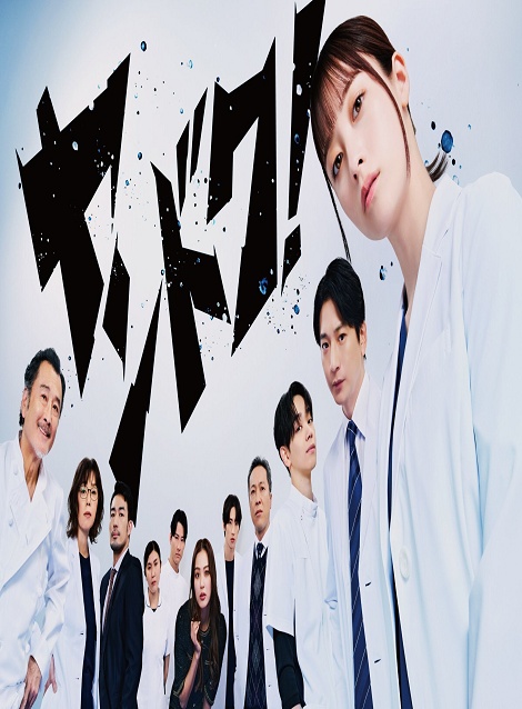 [DVD]  ヤンドク！