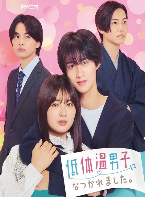 [DVD]  低体温男子になつかれました。