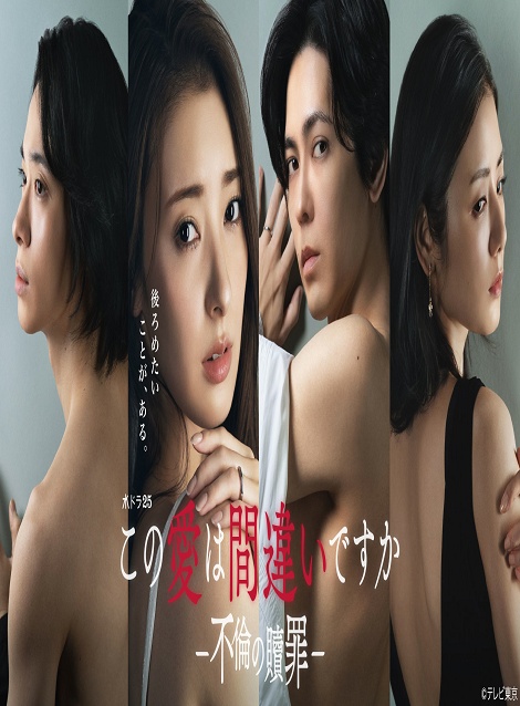 [DVD]  この愛は間違いですか～不倫の贖罪