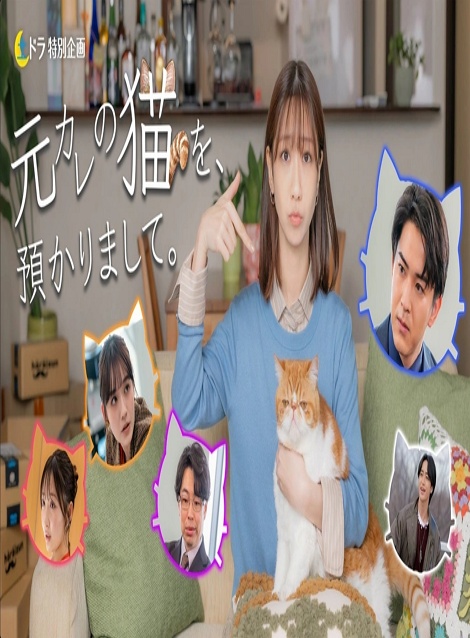 [DVD]  元カレの猫を、預かりまして。
