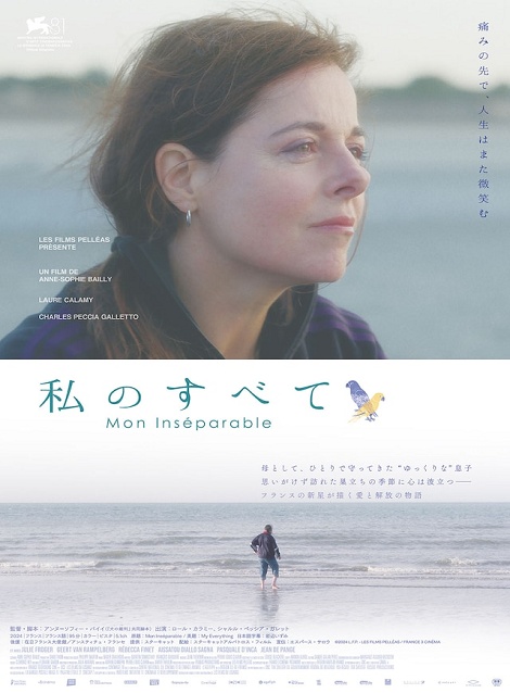 [DVD]  私のすべて