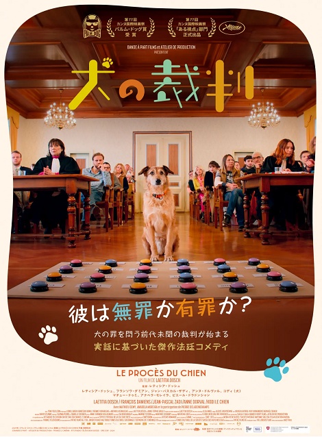 [DVD]  犬の裁判