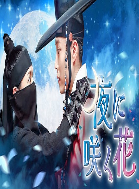 [DVD]  夜に咲く花