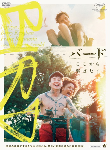 [DVD]  バード　ここから羽ばたく