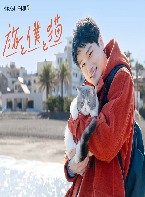 [DVD]  旅と僕と猫