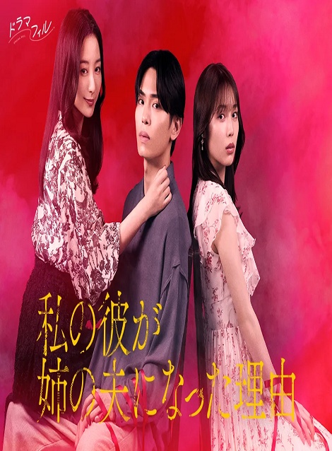 [DVD]  私の彼が姉の夫になった理由