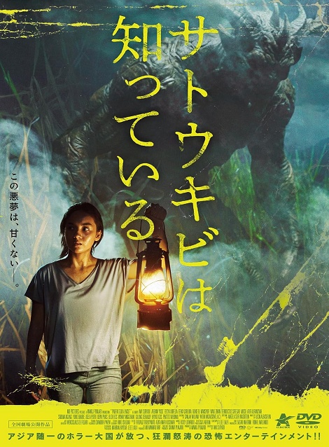 [DVD]  サトウキビは知っている
