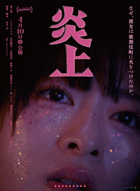 [DVD]  炎上