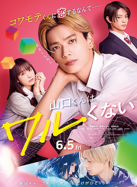 [DVD]  山口くんはワルくない