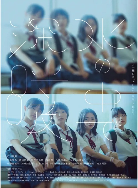 [DVD] ⽔の中で深呼吸