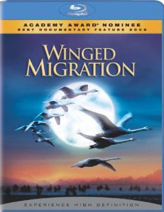 Winged Migration