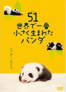 [DVD] 51 (ウーイー) 世界で一番小さく生まれたパンダ